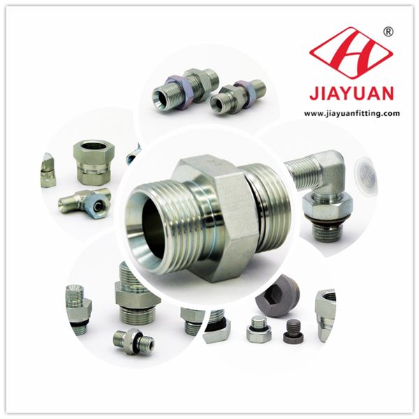 Accesorios hidráulicos británicos British hydraulic fittings