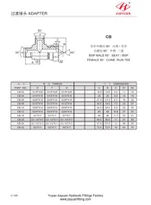 BSP macho 60 BSP hembra cono Tee