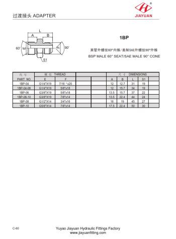 Adaptador acampanado BSP macho 60 asiento SAE 90
