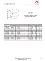 Adaptadores BSPT a NPT