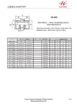 Conector macho BSP 60 Conector BSP E