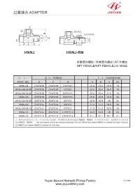 RT NPT 2 Conector hembra JIC macho